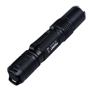 Fitorch P20RGT rechargeable flashlight with 1180lms
